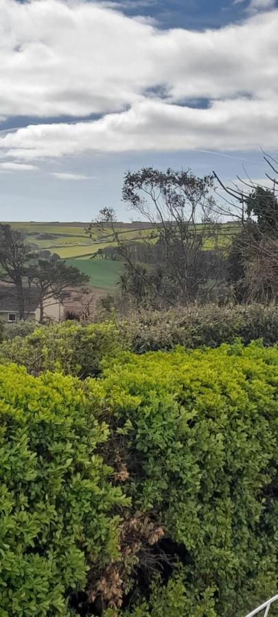 Bed and Breakfast Little Orchard House Salcombe Exterior foto
